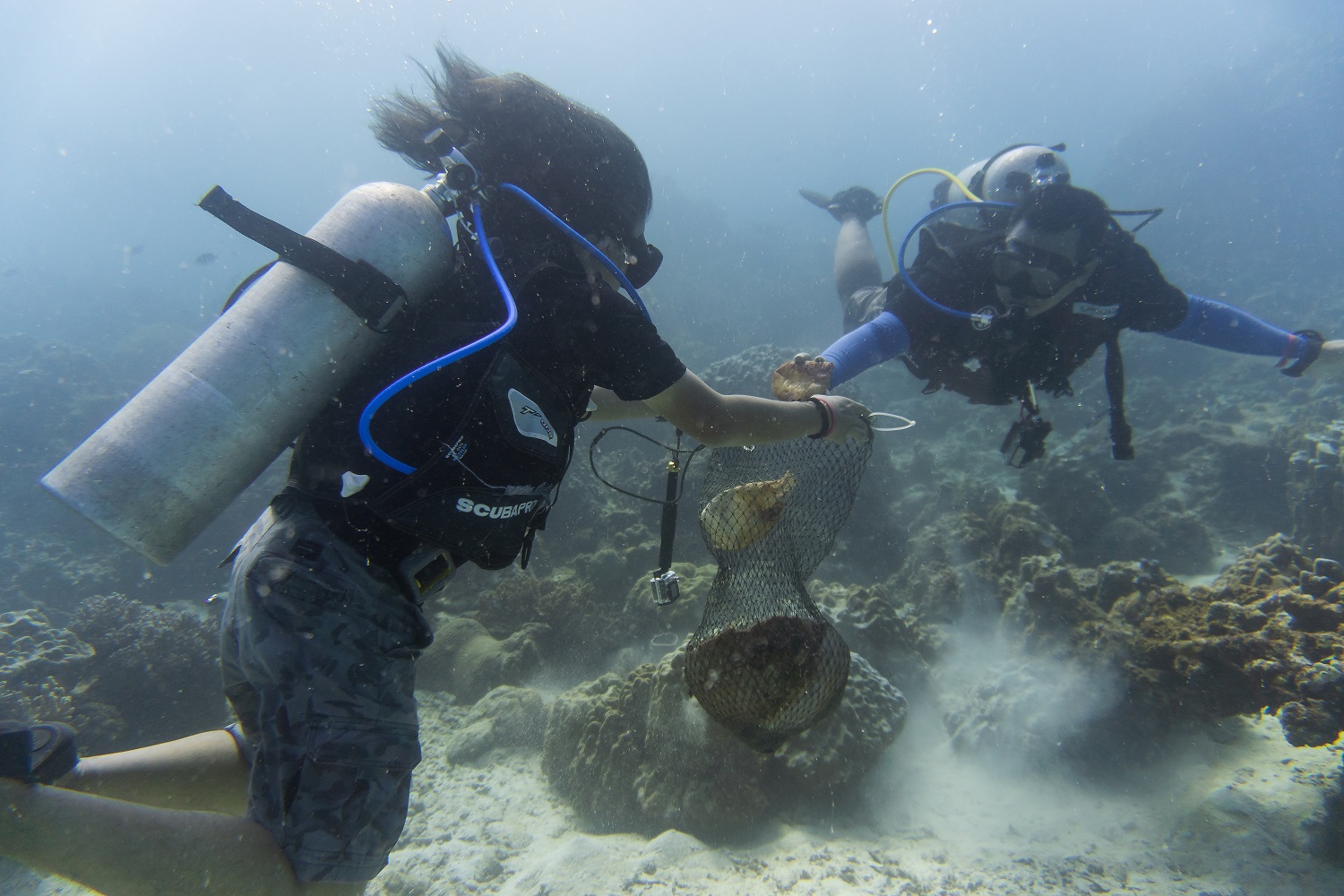 Redang Island Conservation Day – Diver Only