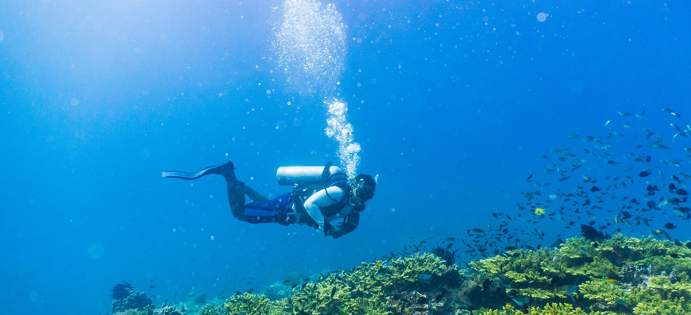 Dive Package