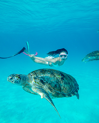 snorkeling