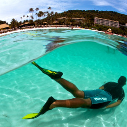 The Taaras - Watersports - Snorkelling