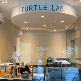 Seatru Turtle Lab